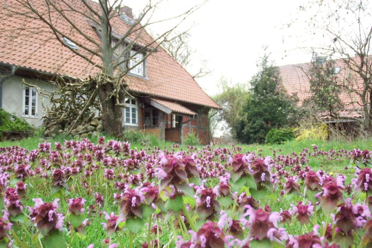 Ferienhof Rauchhaus Karft Екстер'єр фото